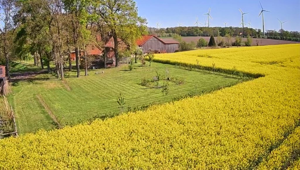 Luftbildansicht vom Campingplatz neben dem blühenden Rapsfeld